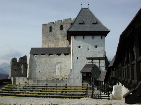 Die Burg von Cilli
