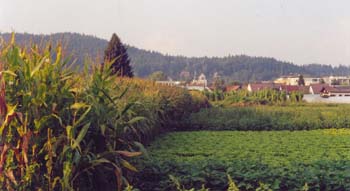 austria_176