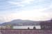 austria_216